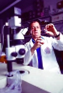 Mario Capecchi � nato a Verona nel 1937.