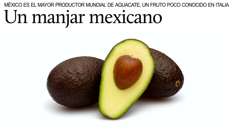 El aguacate, un manjar mexicano poco conocido en Italia.