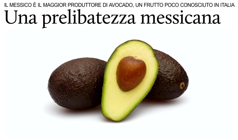 L'avocado, una prelibatezza messicana poco conosciuta in Italia.