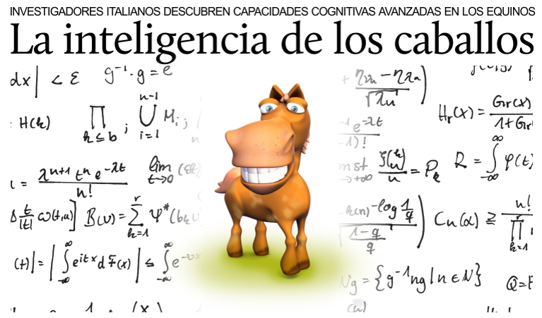Investigadores italianos descubren capacidades cognitivas en los caballos.
