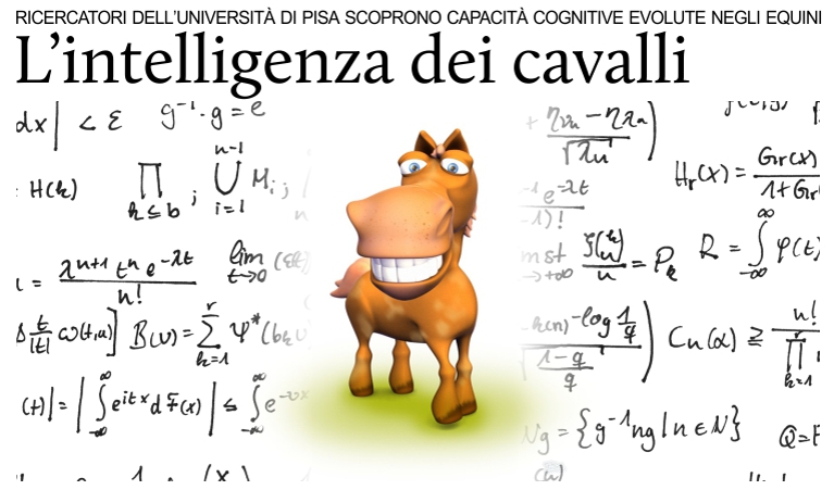 Ricercatori italiani scoprono capacit� cognitive nei cavalli.