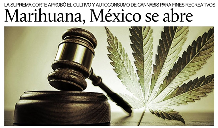 Marihuana, M�xico hacia la legalizaci�n del autoconsumo.