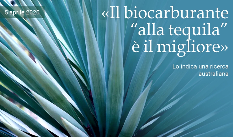 �Il biocarburante �alla tequila� � il migliore�