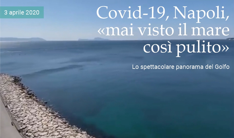 Covid-19 Napoli, �mai visto il mare cos� pulito�
