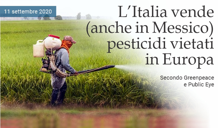 L'Italia esporta (anche in Messico) pesticidi vietati nell'Ue