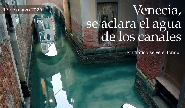 Venecia, se aclara el agua de los canales
